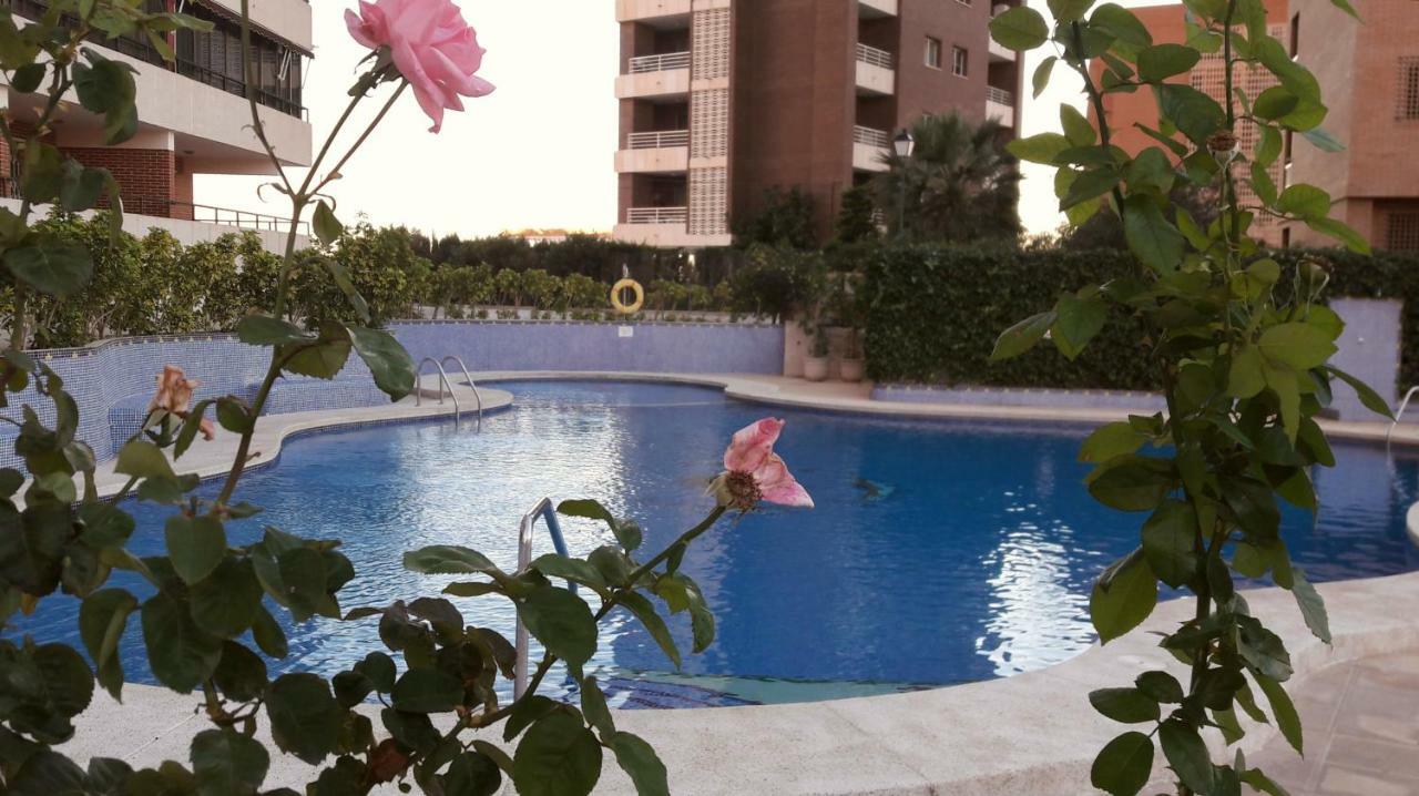 Trisol Seaviews Lägenhet Benidorm Exteriör bild